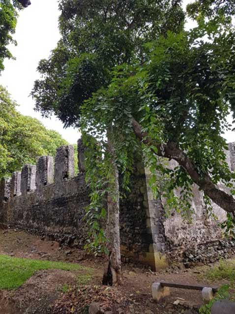 The fortified walls of La Loge. (Author provided)