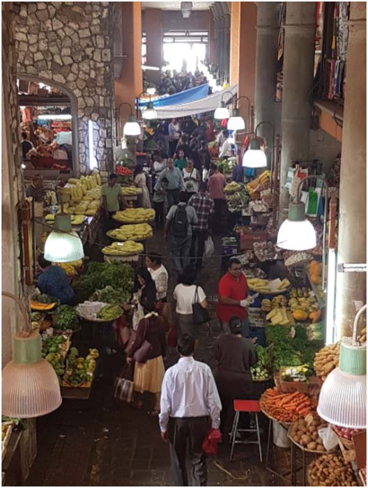 The fresh fruit and vegetable market in Port Louis (Image: Courtesy of the author)