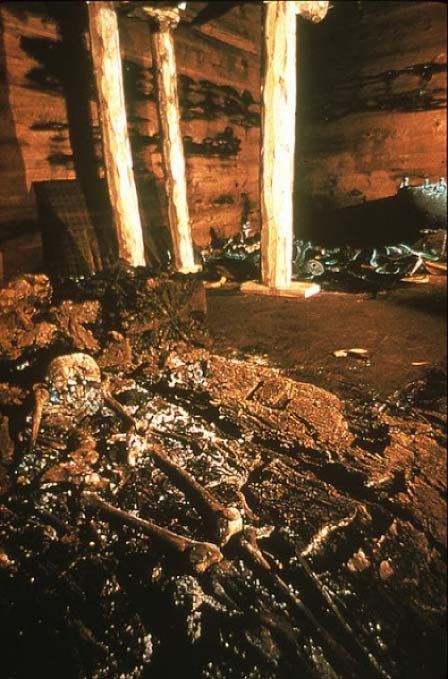 The remains of “King Midas”. (imagina65)