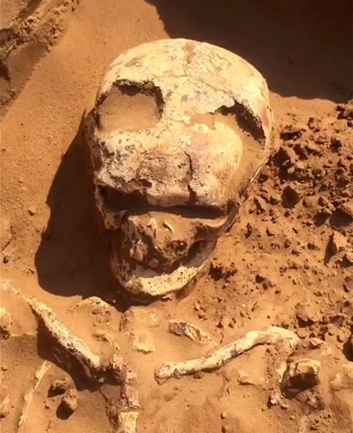 The skull of the warrior had large holes made by trepanation. (Astrakhan Archaeology /Fair Use)