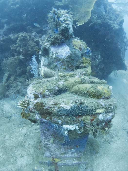 The statues had been submerged for about 6 years when these pictures were taken in 2011 