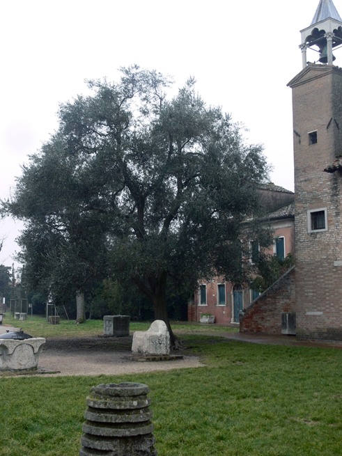 The throne in the garden of the Cathedral and Museum, Torcello, Italy. 