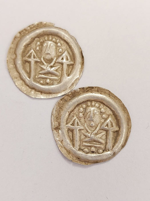 Two of the silver medieval coins unearthed by the dog in Poland. (Dolnośląski Wojewódzki Konserwator Zabytków)