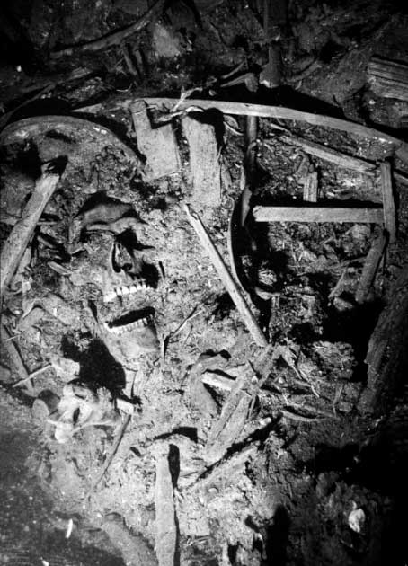 Excavaciones submarinas de Kronan. (Lars Einarsson/Cell Press)