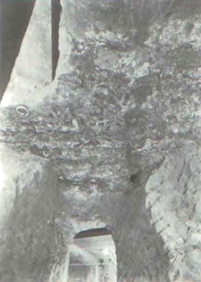 View of the ceiling of the tunnel showing log and bark molds and copper bracelets. (James L. Murphy)