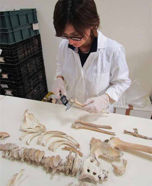 La Dra. Serena Viva analiza uno de los esqueletos de Pompeya. (Serena Viva)