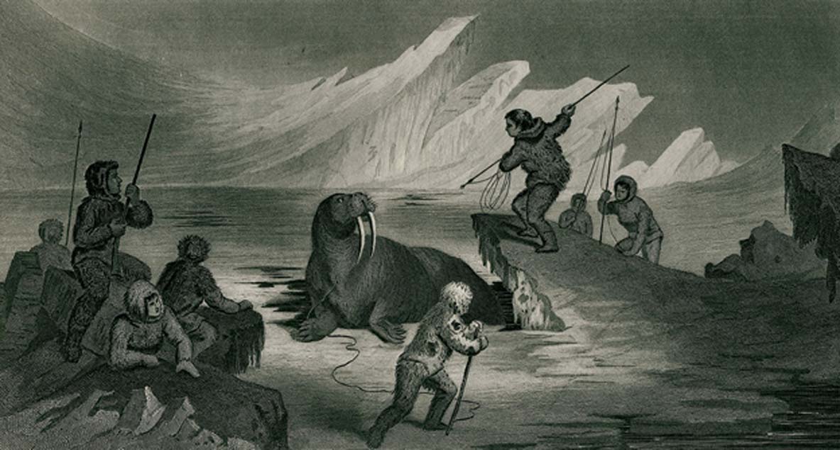 Walrus Hunting based on a sketch by Dr. Kane (1856) (Public Domain)