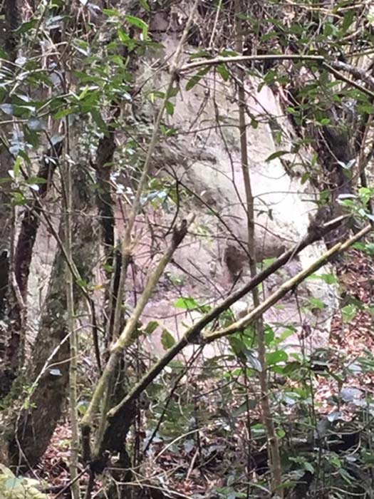Was this once a carved face?