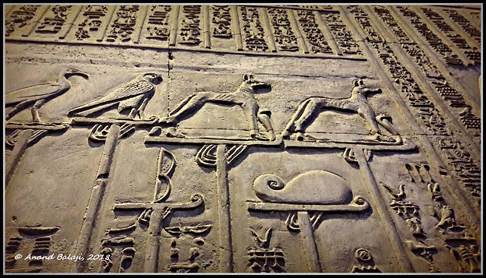 Wepwawet figures stand proud atop royal standards along with other deities in this relief at the Kom Ombo Temple. From the First Dynasty onwards, an image of a rearing cobra (‘uraeus’) was placed in front of the animal.