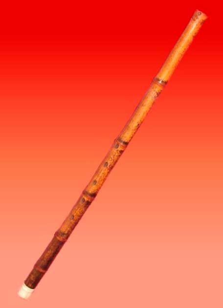 Las cañas Xiao cercanas dieron su nombre a la cueva de la flauta de caña. Usado en ceremonias confucianas, incluidas bodas y funerales, y a menudo asociado con eruditos, los xiao a veces están inscritos con poemas. (Dominio publico)