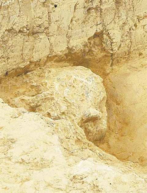 "Yunxian Man" No. 3 Skull Fossil, remaining semi-unearthed. (Courtesy of the National Cultural Heritage Administration)