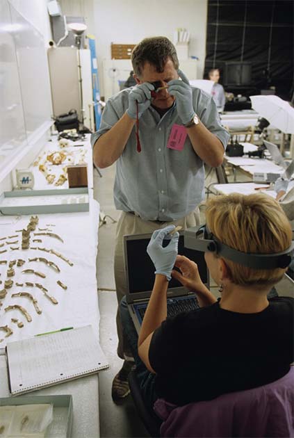 Forensic anthropologists Douglas Owsley and Kari Bruwelheide examining the skeletal remains of the Kennewick Man. (Chip Clark / Smithsonian Institution)
