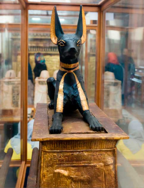 The Anubis Shrine was found guarding the entrance of Tutankhamun’s tomb. An Anubis statue sits atop a trapezoidal altar made of gilded wood. Egyptian Museum, Cairo. (kairoinfo4u / Flickr)