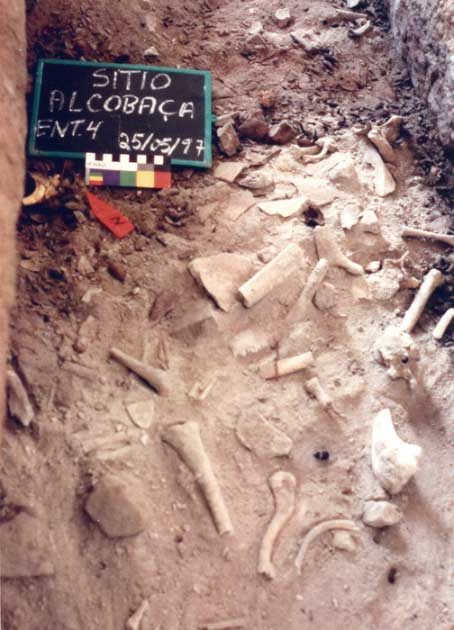 The Alcobaça archaeological site, in which the skeletal remains of Brazil-12 (northeast Brazil) were unearthed. (Henry Lavalle / Universidade Federal de Pernambuco and Ana Nascimento, Universidade Federal Rural de Pernambuco)