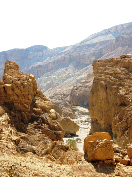 El área alrededor de la cueva Nahal Hemar, conocida como el Cañón Nahal Hemar en el desierto de Judea en Israel. (Ester Inbar)