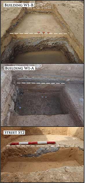 Nivelación de capas bajo los edificios W1-B, W1-A y St2 en el sitio de excavación de Marea. La línea blanca punteada marca la parte superior de las capas de nivelación (fotografías de M. Gwiazda, cortesía del Centro Polaco de Arqueología Mediterránea, Universidad de Varsovia). (Antigüedad)