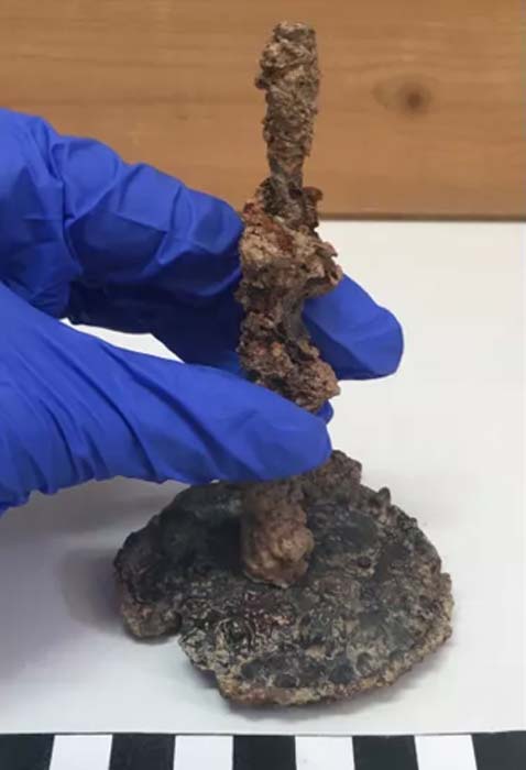 The chicken parts within the jar were pierced by this long iron nail. Nails were commonly used in ancient curses, and it seems this was also true of witchcraft in Athens. (Athenian Agora Excavations)