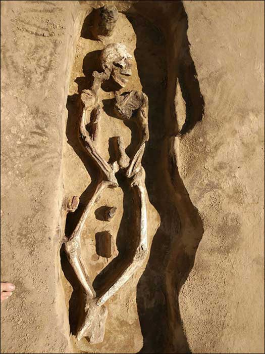 Work is underway to analyze the skeleton to determine more about the 'dancer' from the dark ages.