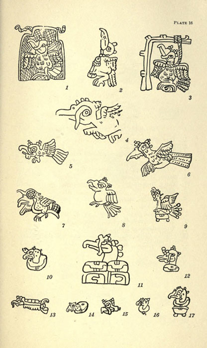 Representación de pavos ocelados en los códices mayas según el libro de 1910 Figuras de animales en los códices mayas de Alfred Tozzer y Glover Morrill Allen. (Dominio publico)