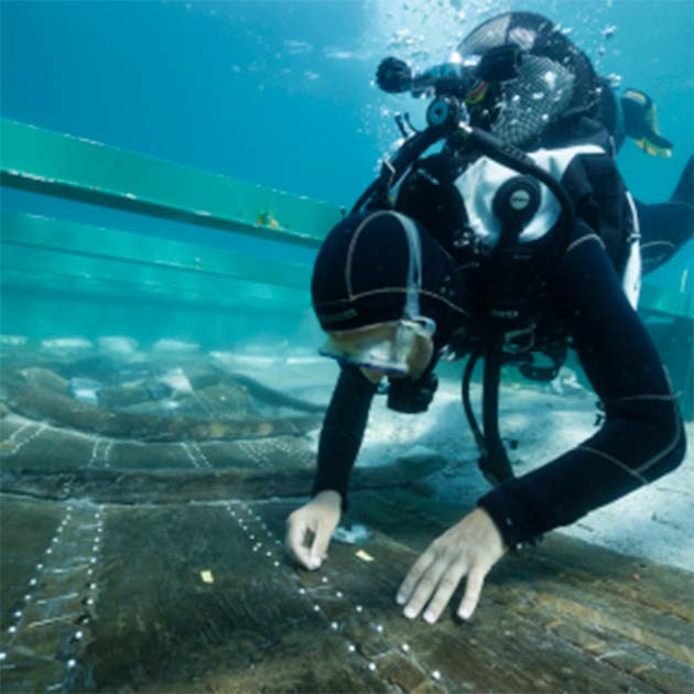 A diver vacuums sediment at the boat wreck. (Philippe Groscaux/CNRS)