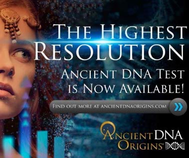 https://www.ancientdnaorigins.com/ 