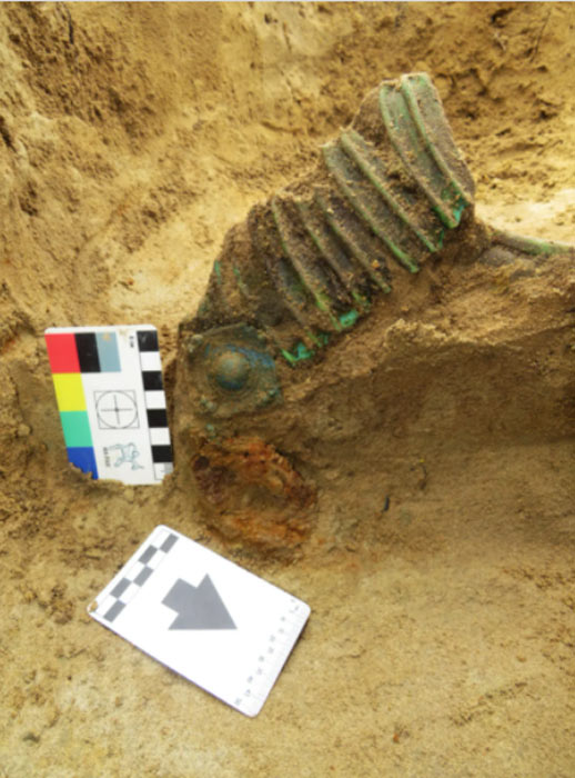 Un elemento de un casco de caballo en los restos de un cráneo de caballo en un entierro del siglo VI en el sitio de Putilovo-2. (Konstantin N. Skvortsov / Instituto de Arqueología de la Academia de Ciencias de Rusia)