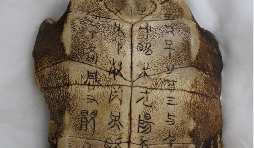 Chinese writing and oracle bones in museums
