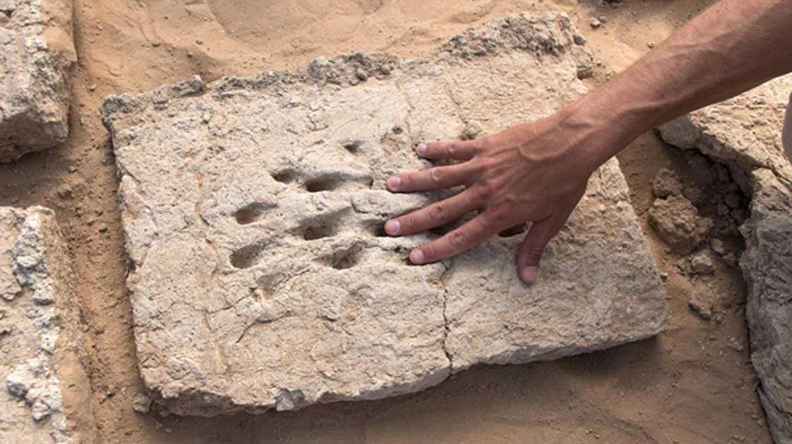 The ancient fingerprints of a worker who helped build a wall in ancient Al Ain. Source: Department of Culture and Tourism - Abu Dhabi / Fair Use.
