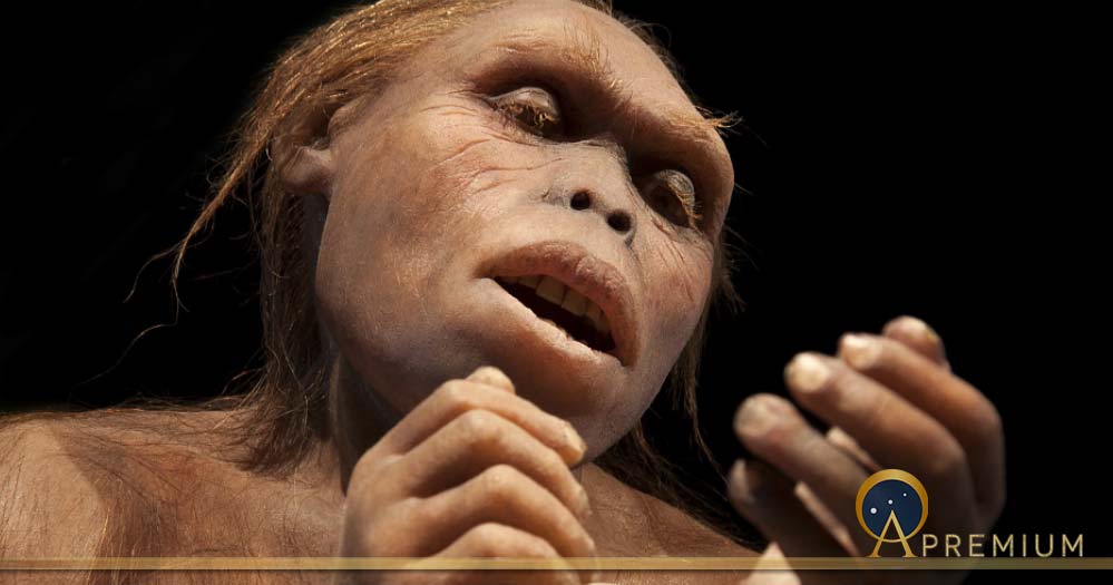 Australopithecus Afarensis (procy_ab / Adobe Stock)