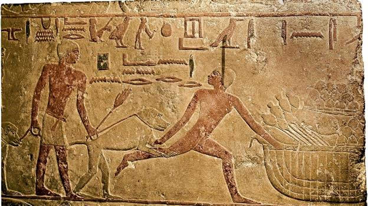 Did You Known That Baboons Were Trained in Ancient Egypt to Catch Criminals?