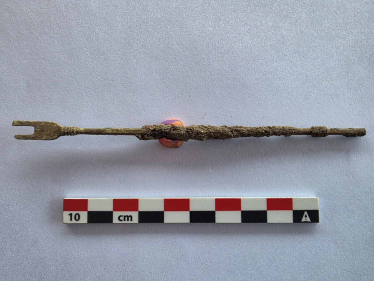 Rare Roman Surgical Instrument for Bladder Stone Removal Found
