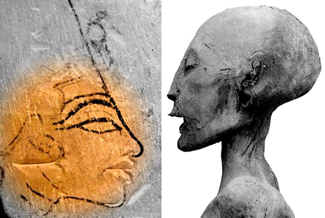 1.3.a. Nefertiti's Bust where an ellipsoid was implanted. Source of