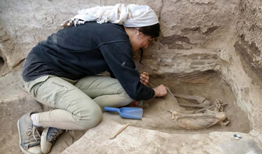 A researcher excavating an adult skeleton at the Neolithic site of Catalhoyuk in Turkey.          Source: Scott Haddow / Ohio State University