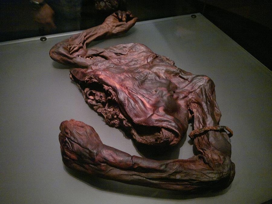 Unravelling the Story Behind the Old Croghan Man's Bog Body | Ancient  Origins