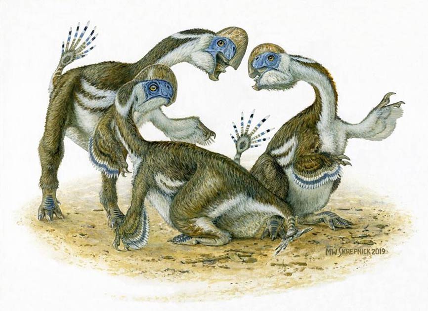 An artist’s impression of the Oksoko avarsan dinosaur. Source: (Michaeol Skrepnick / University of Edinburgh)