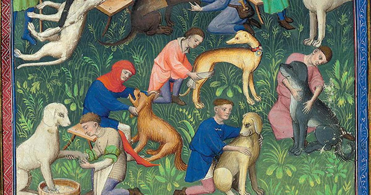 Dogs in the Middle Ages: What Medieval Writing Tells Us About Our Ancestors' Pets - Vimarsana News