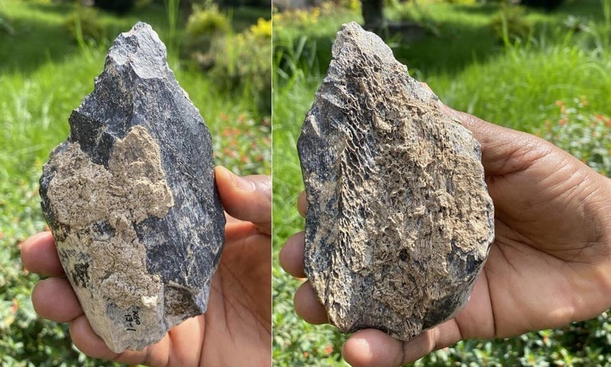 Both sides of the recent Ethiopian bone hand axe find.