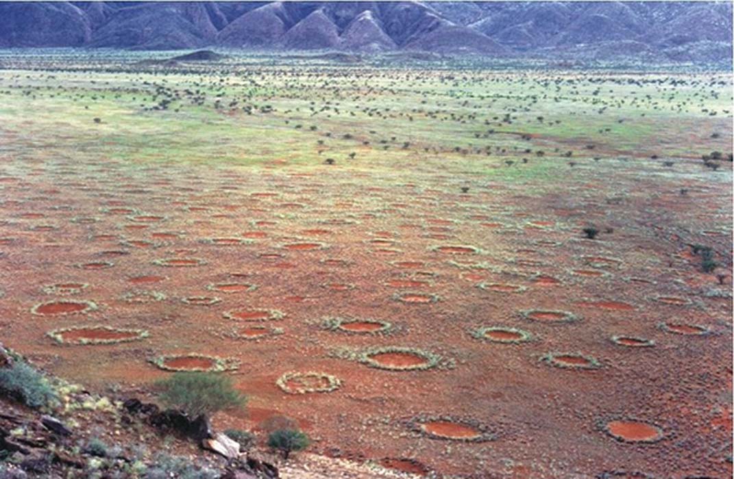 Image result for Fairy Circles
