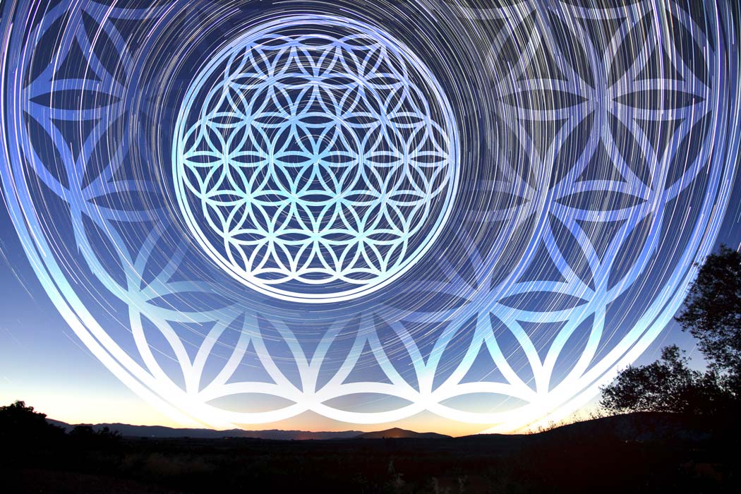 The Flower Of Life
