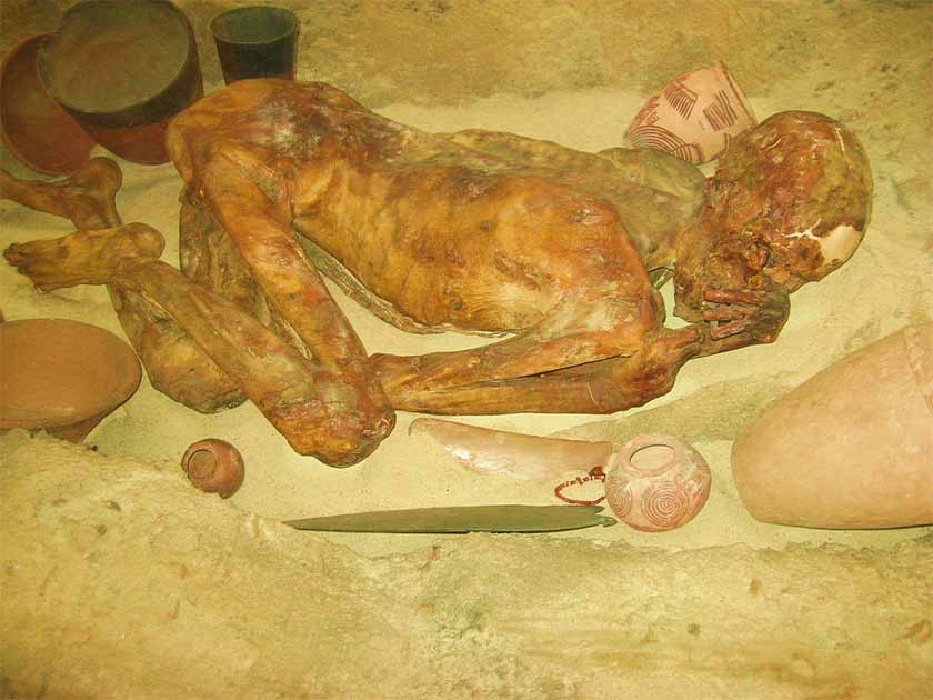 The mummified Gebelein Man formerly known as "Ginger" in a reconstructed Egyptian grave-pit in the British Museum, photographed in 2008. 