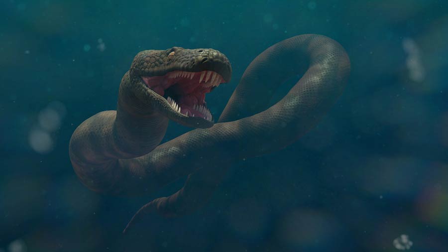 The Giant Anaconda: Is There a Monster in the Amazon? | Ancient Origins