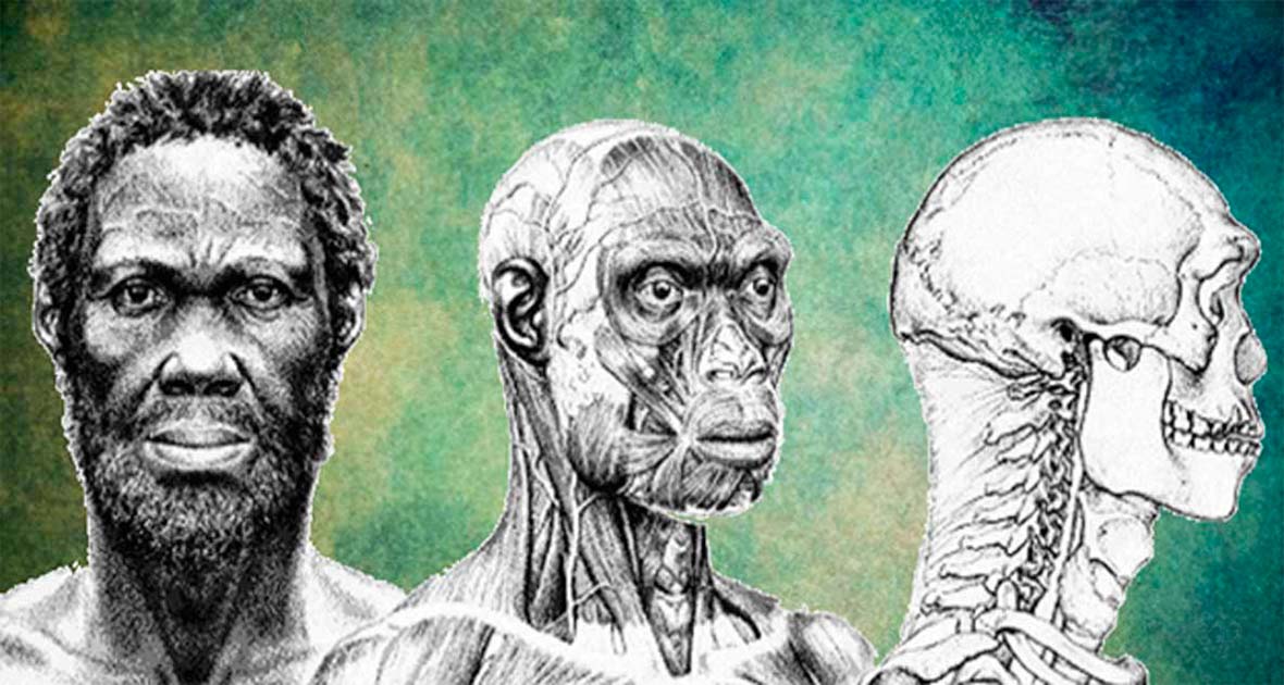 Depiction of what the ancient 'Herto Man' may have looked like. His skull dates to 160,000 years ago. Source: Bradshaw Foundation