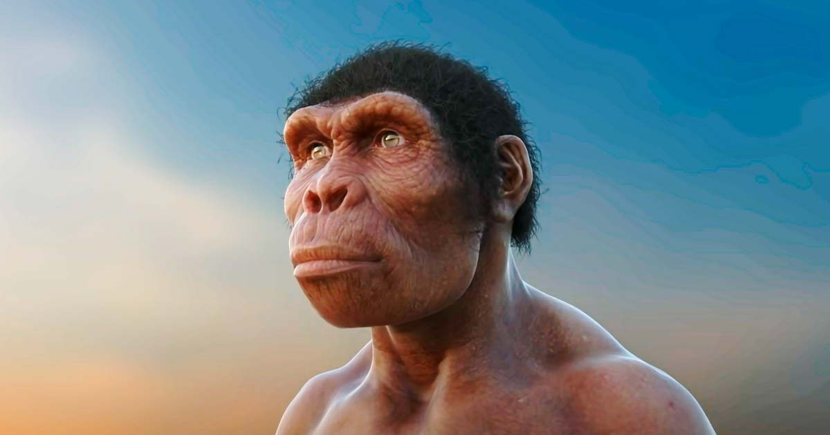 A reconstruction of Homo habilis. Source: YouTube Screenshot / Scientists Against Myths.