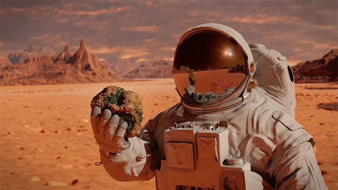 Is Bacteria Hiding on Mars? Indestructible Microbe “Conan the Bacterium” Suggests There Is