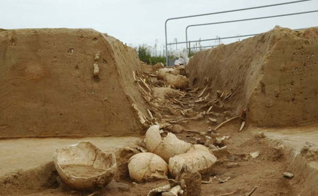 The Mystery of Herxheim: Was an Entire Village Cannibalized? 