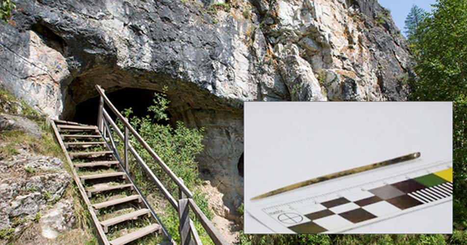 50,000-Year-Old Needle Found in Siberian Cave AND It Was Not Made by Homo Sapiens