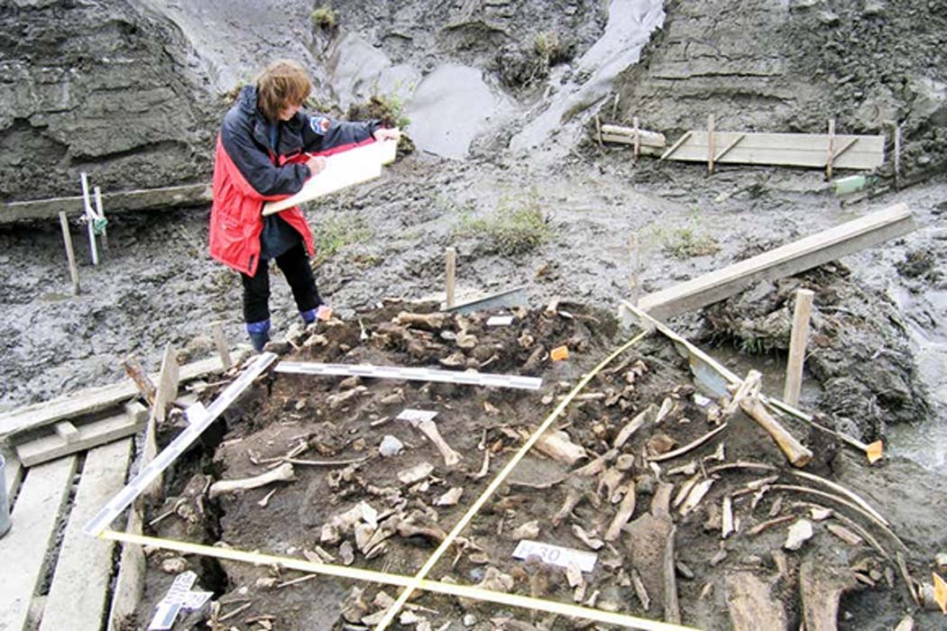 Two men found at the Yana Rhinoceros Horn Site in northern Siberia in Russia date to about 32,000 years ago, providing the earliest direct evidence of humans in the region.           Source: Elena Pavlova