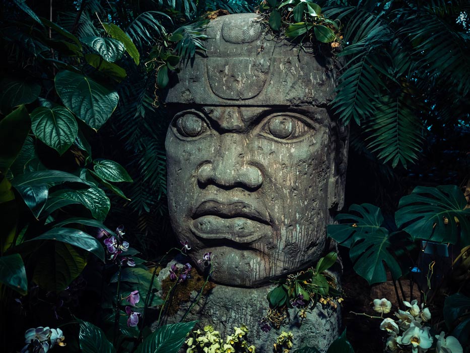 The Olmecs Mesoamerican Mother Culture of Colossal Heads and