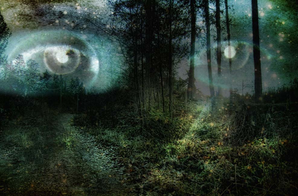 The Origins of the Faeries: Changes in Conscious Perception – Part II