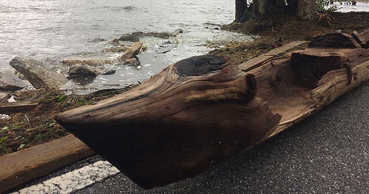 Hurricane Irma Uncovers a Rare Native American Canoe in 